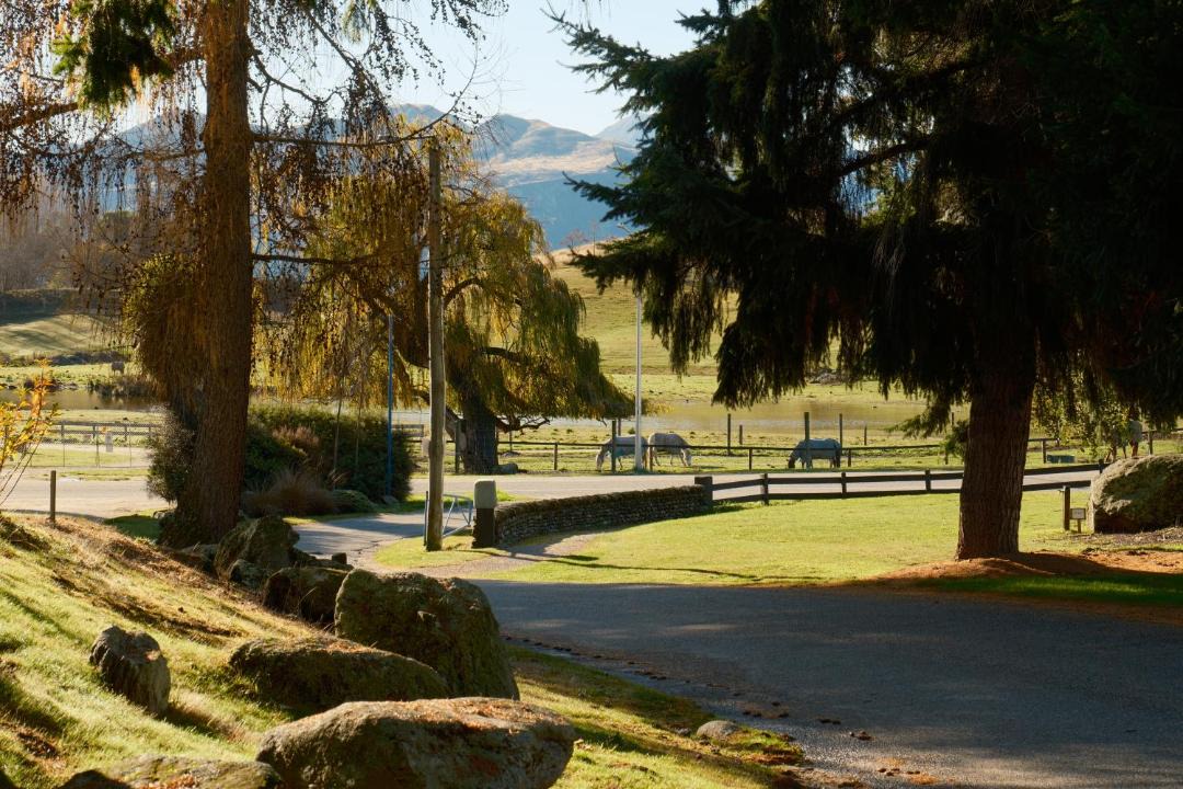 Photo of Others in Wanaka