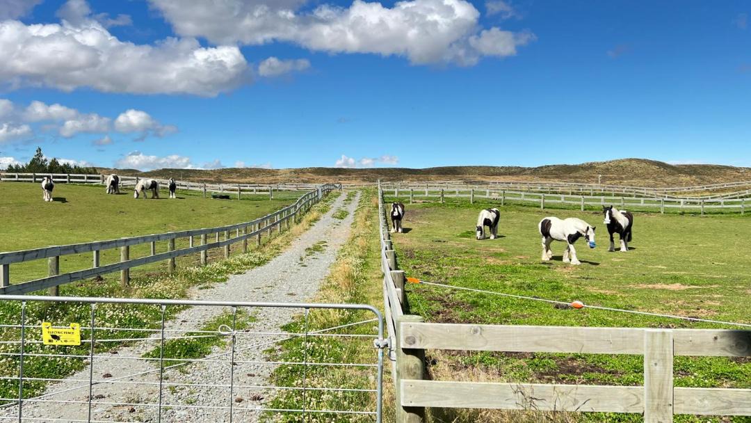 Photo of Others in Tekapo