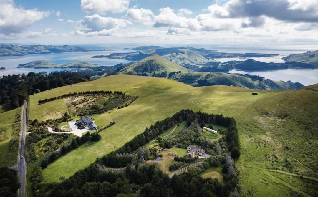 Photo of Others in Dunedin