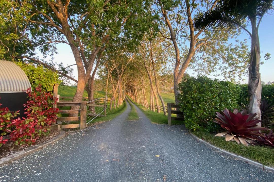 Photo of Others in Matakana