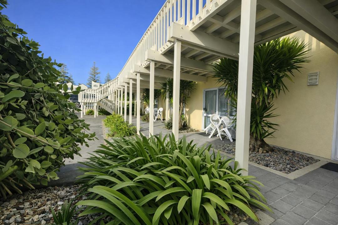 Photo of Others in Napier