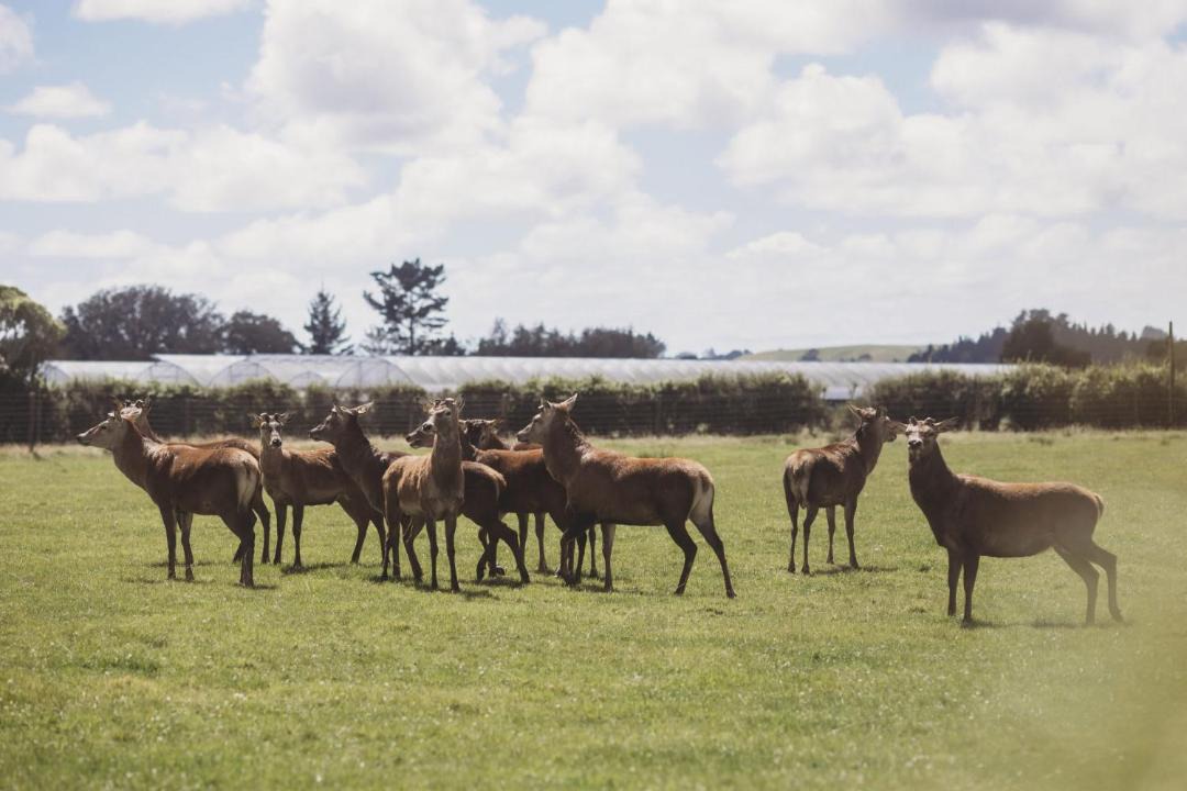 Photo of Others in Rewa