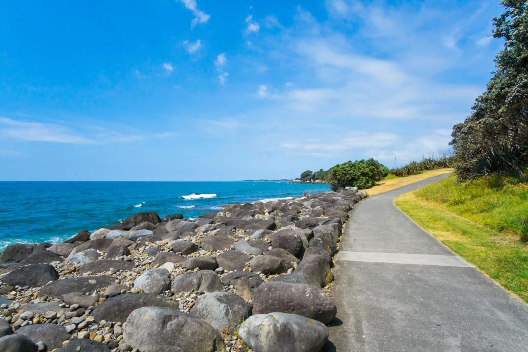 Photo of Others in New Plymouth