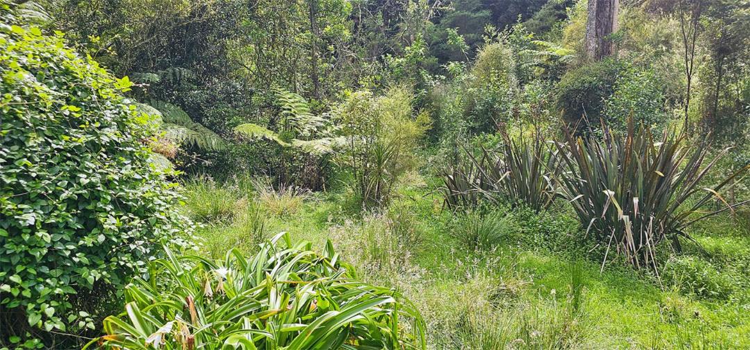 Photo of Outdoor in Ratana
