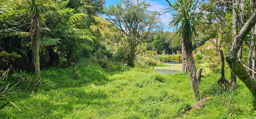Photo of Others in Ratana