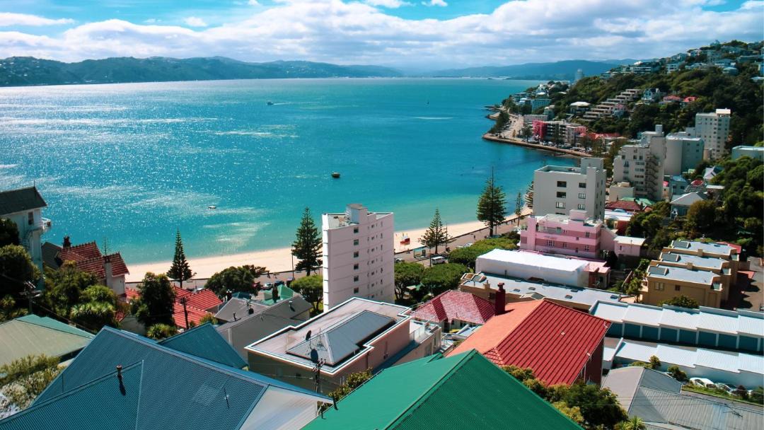 Photo of Others in Wellington