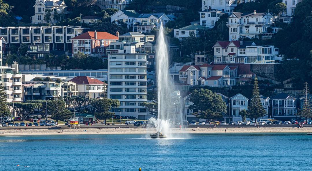 Photo of Others in Wellington