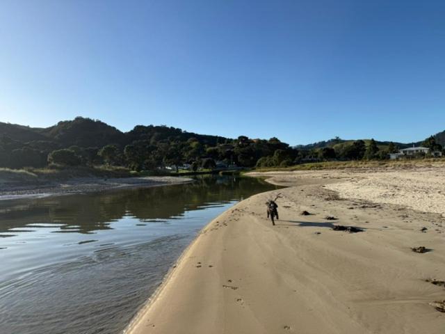 Photo of Others in Kuaotunu