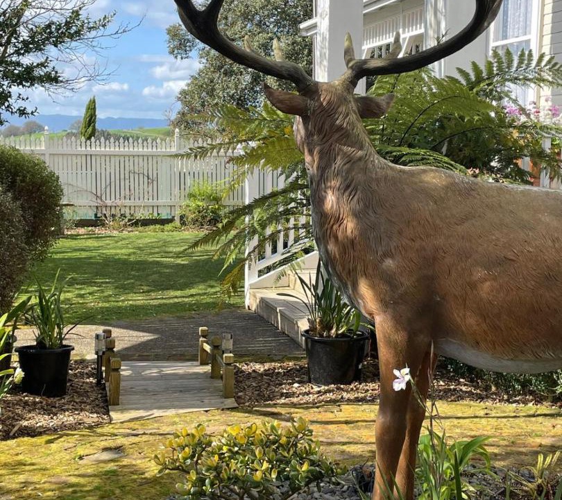 Photo of Others in Tirau