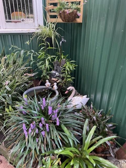 Photo of Others in Tirau