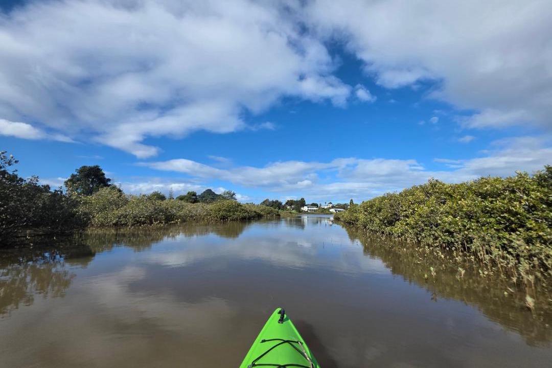 Photo of Others in Tairua