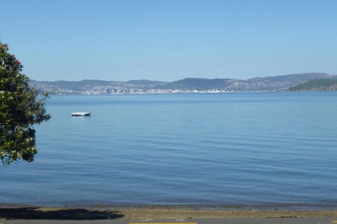 Photo of Others in Lowry Bay