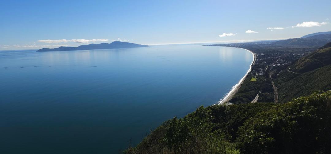 Photo of Others in Wellington Region