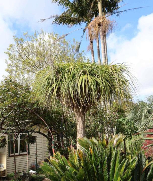 Photo of Others in Whenuapai
