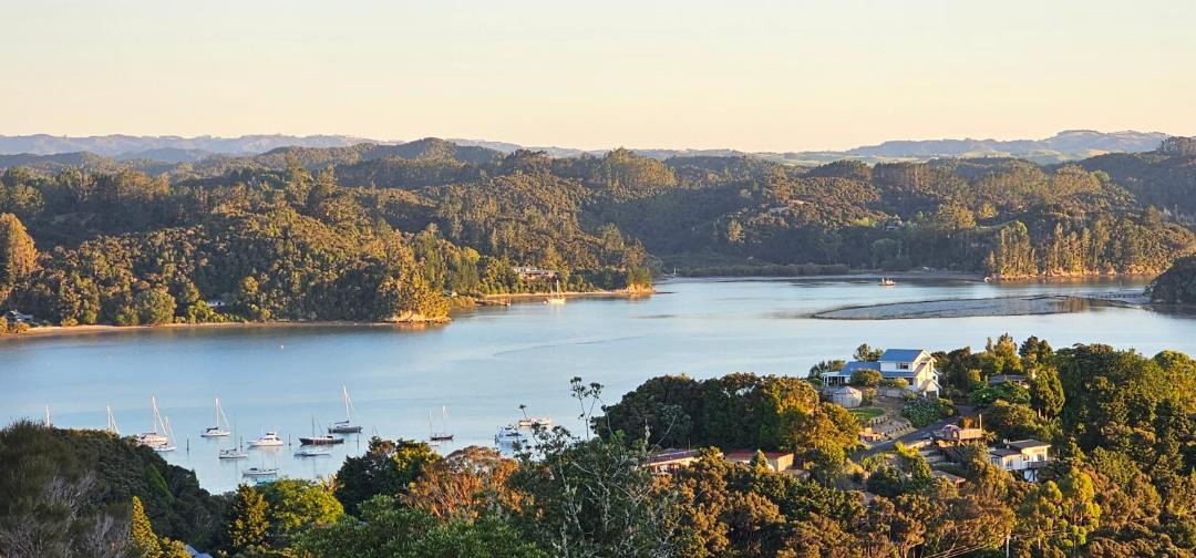 Photo of Others in Opua