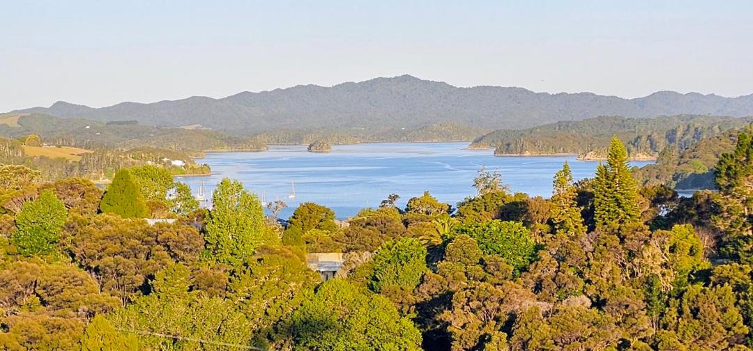 Photo of Others in Opua