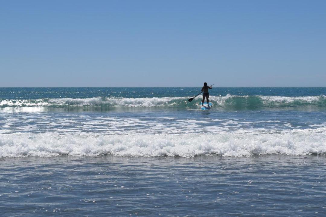Photo of Others in Okains Bay