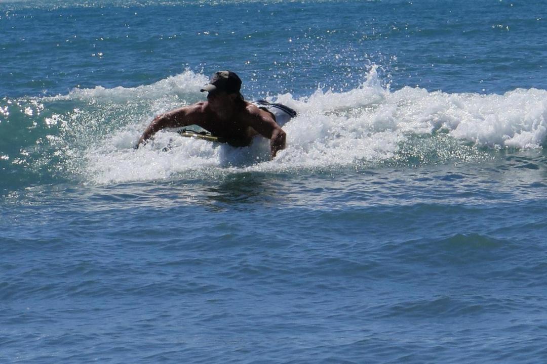 Photo of Others in Okains Bay