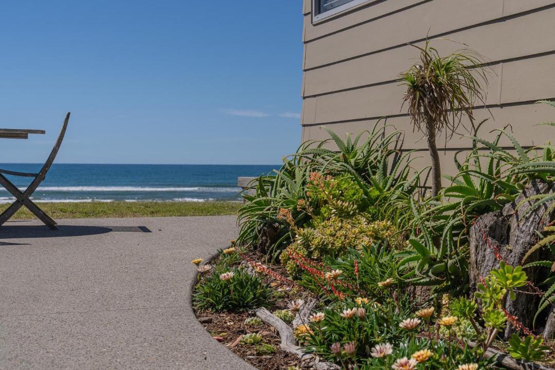 Photo of Others in Whangamata