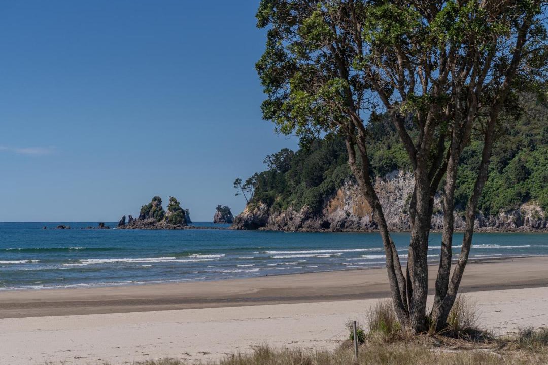 Photo of Others in Whangamata