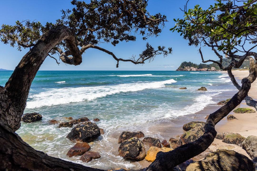 Photo of Others in Whiritoa