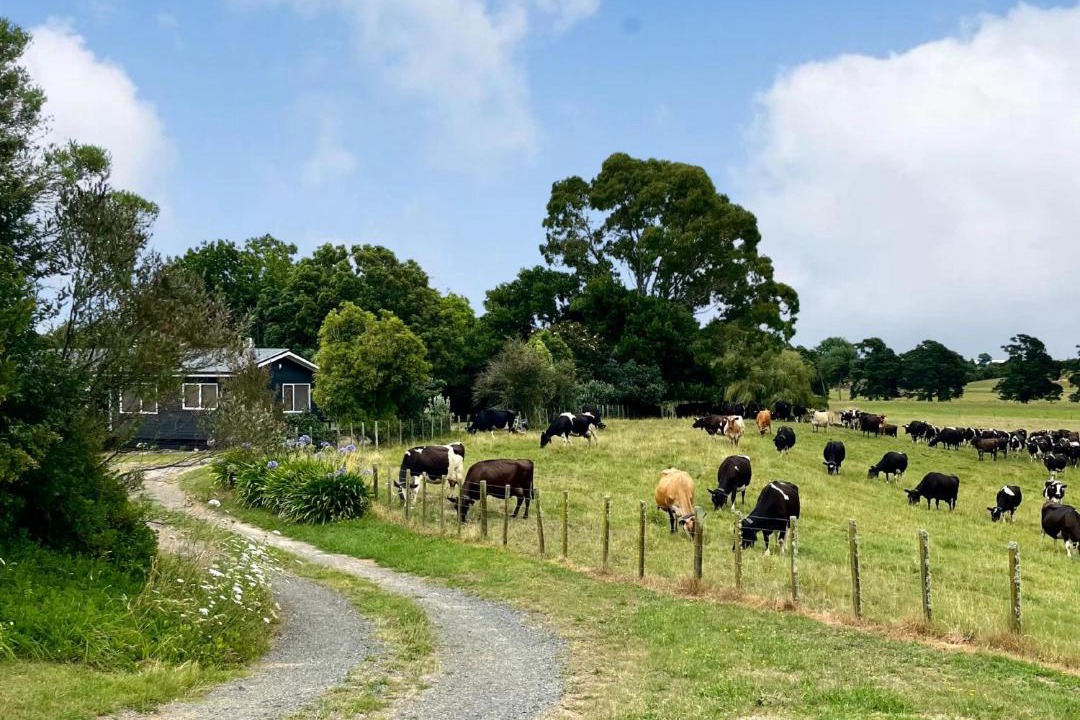 Photo of Others in Gordonton