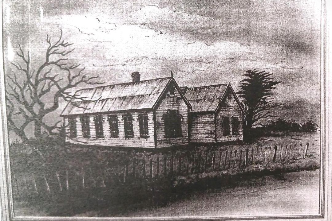 Photo of Others in Kaipara District