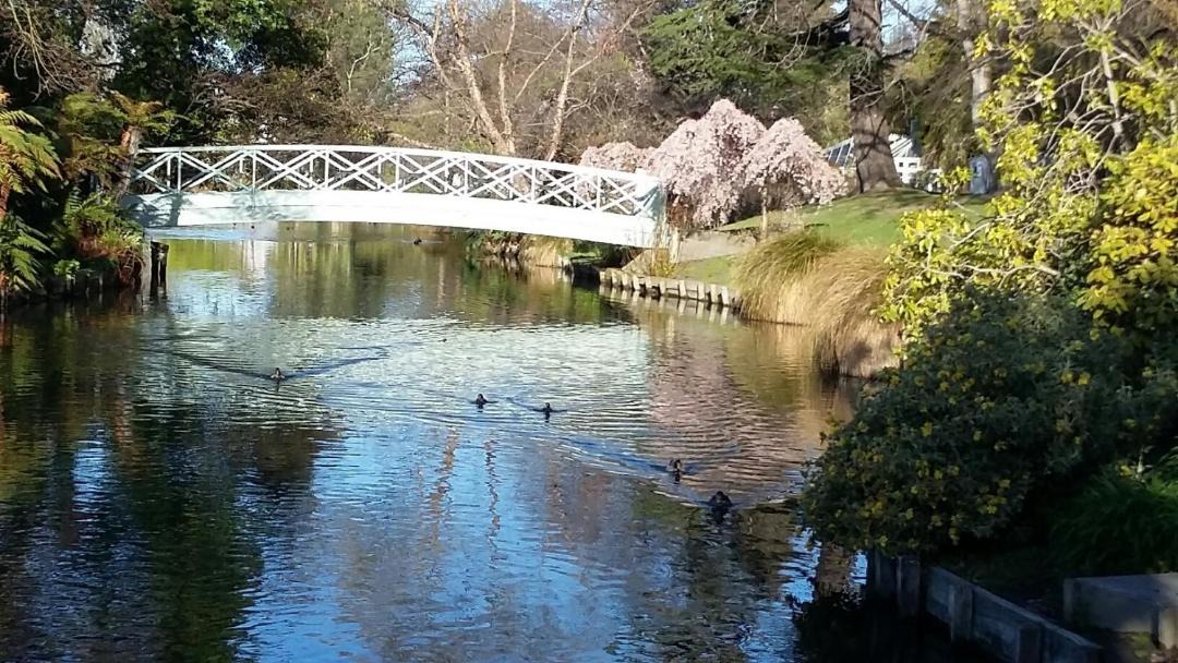 Photo of Others in Riccarton