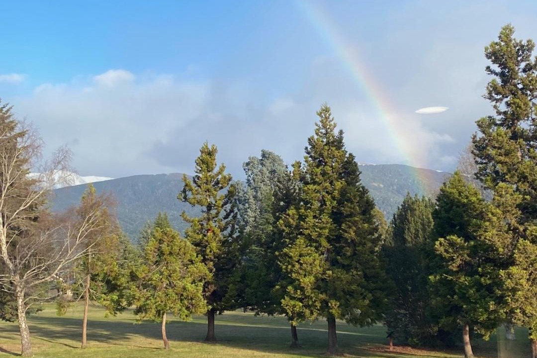 Photo of Others in Te Anau