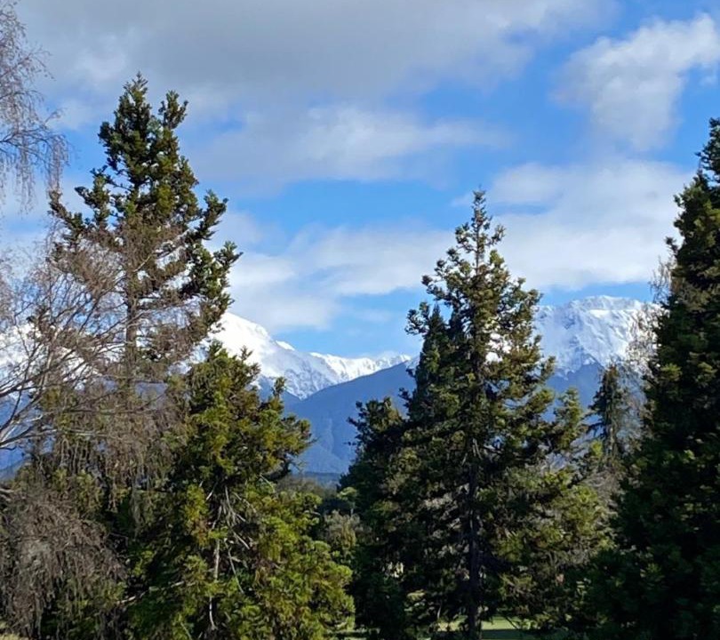 Photo of Others in Te Anau