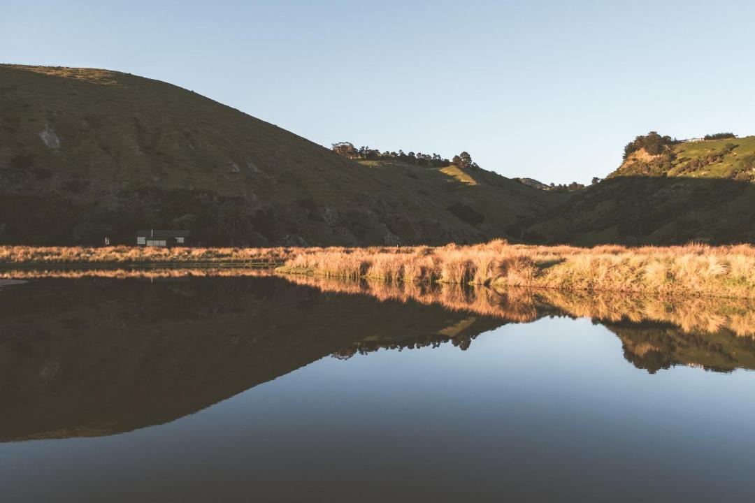 Photo of Others in Okains Bay