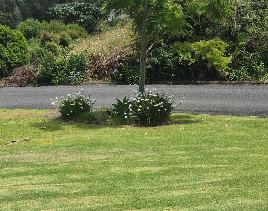 Photo of Others in Kerikeri