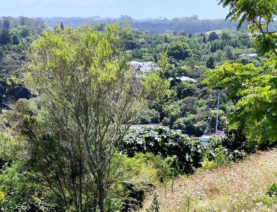 Photo of Others in Kerikeri