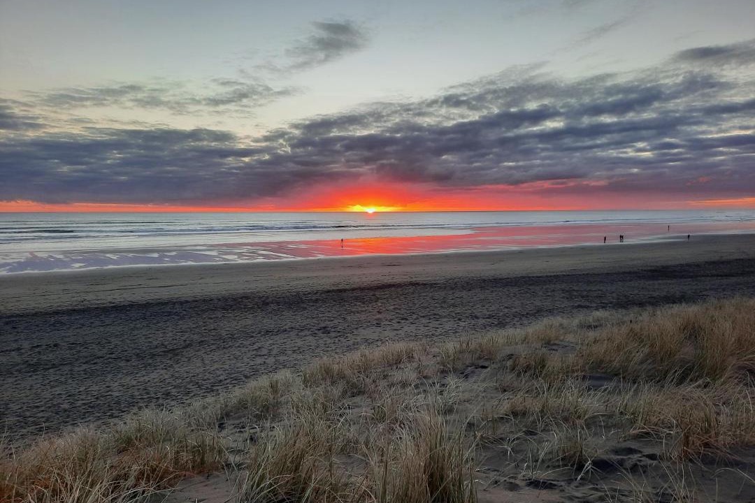 Photo of Others in Muriwai