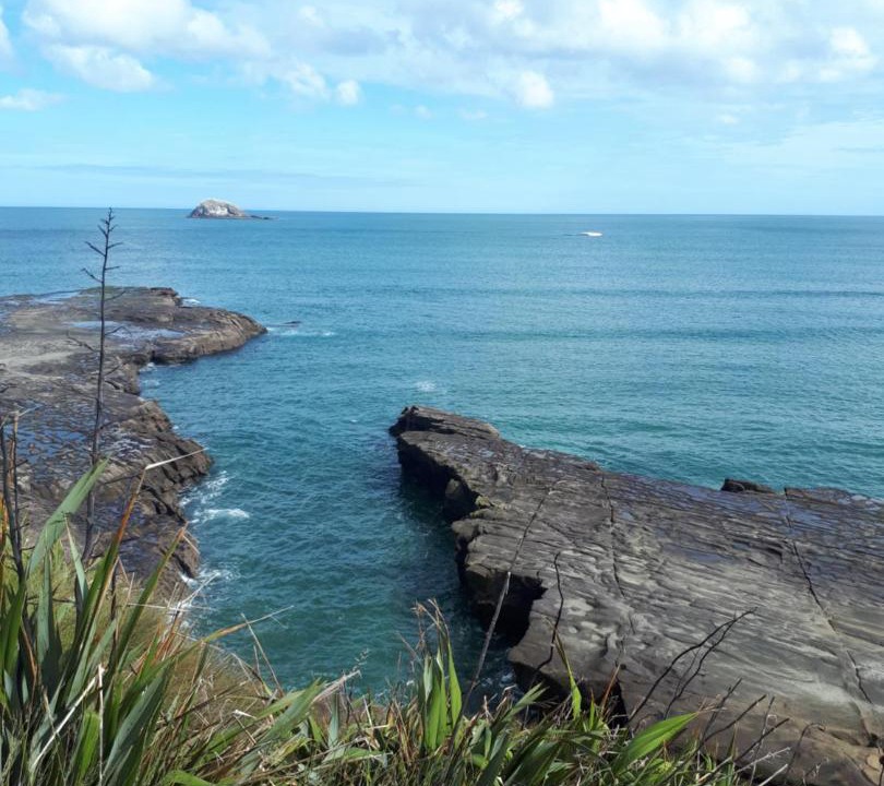 Photo of Others in Muriwai