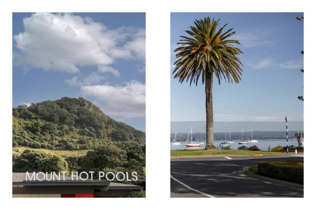 Photo of Others in Mount Maunganui