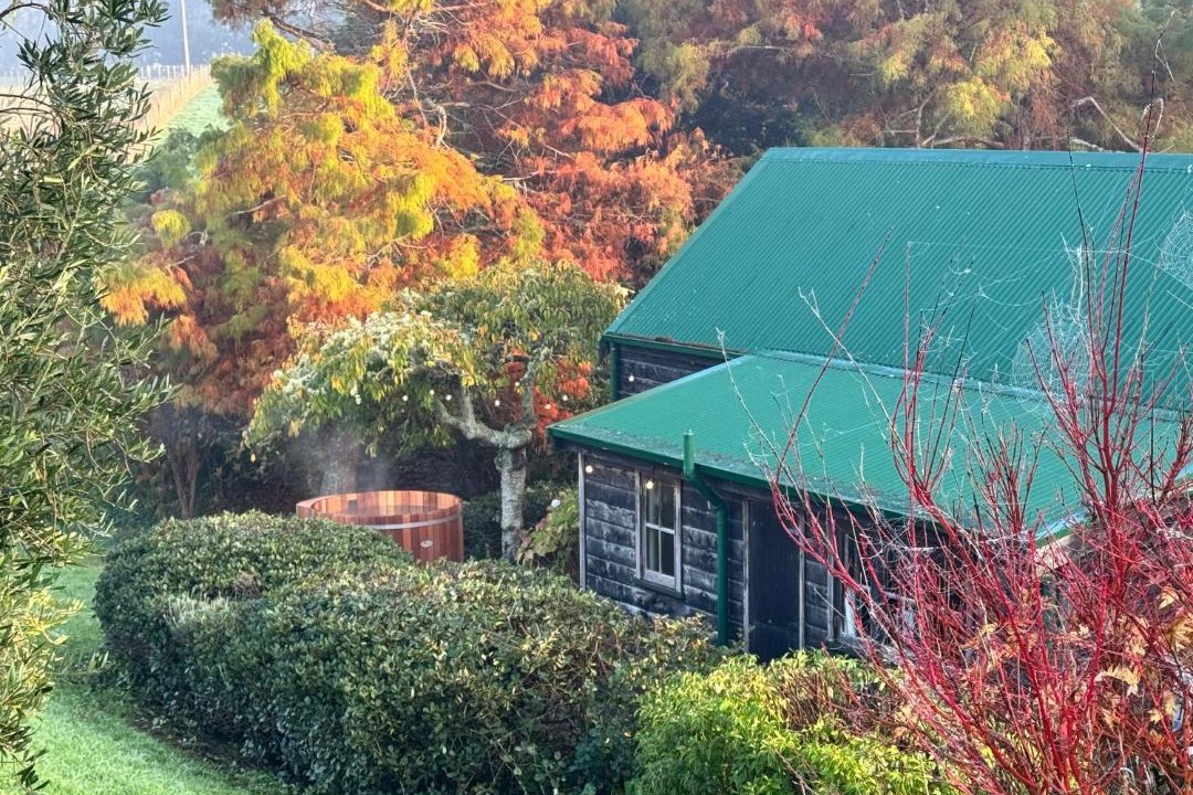 Photo of Others in Helensville