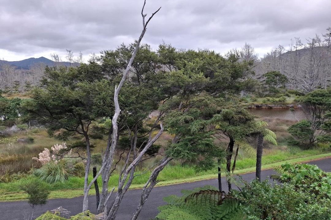 Photo of Others in Great Barrier Island