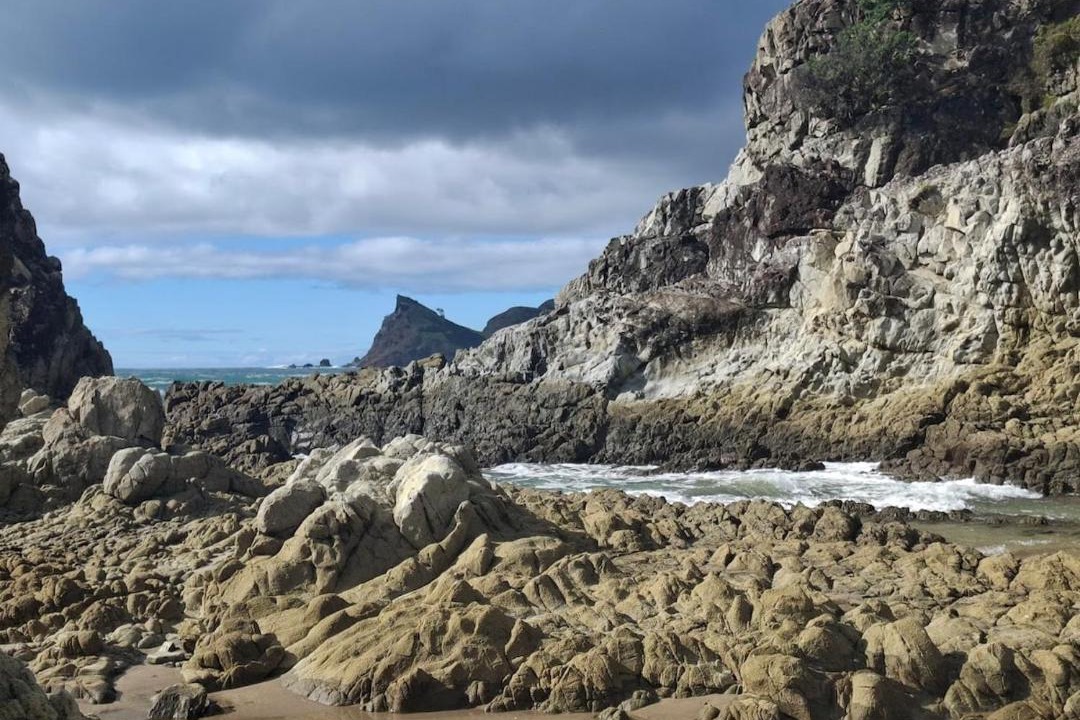 Photo of Others in Great Barrier Island