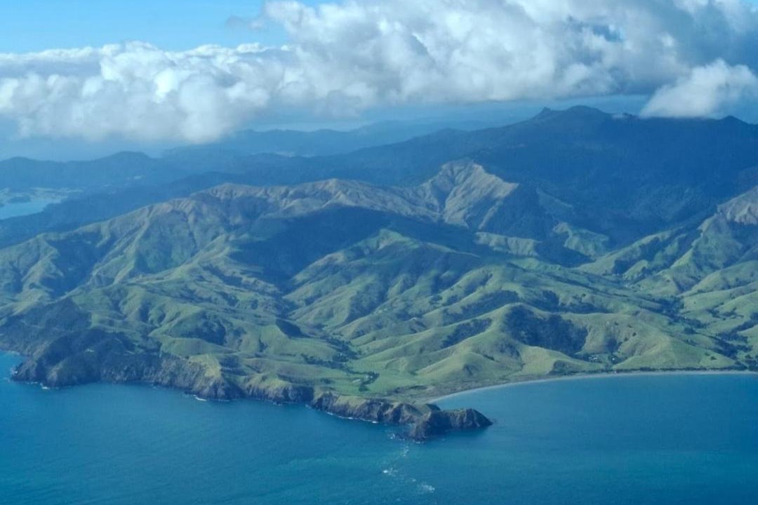 Photo of Others in Great Barrier Island