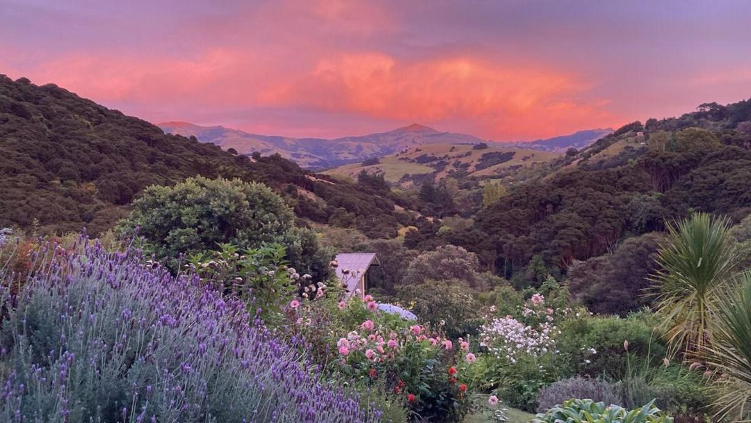 Photo of Others in Akaroa