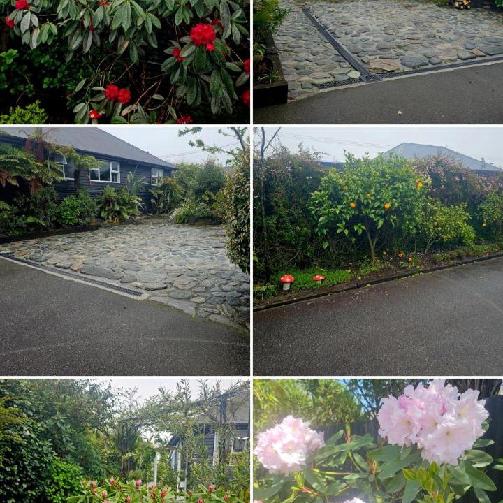 Photo of Others in Hokitika