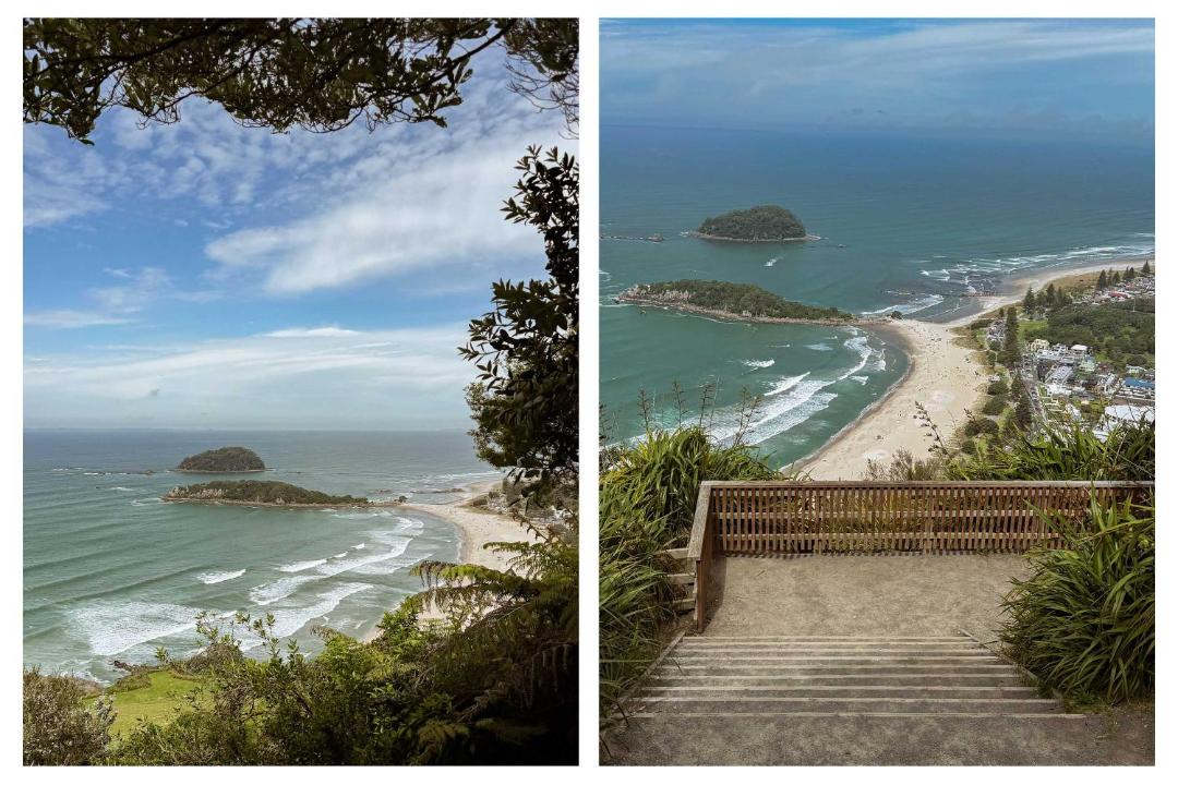 Photo of Others in Mount Maunganui