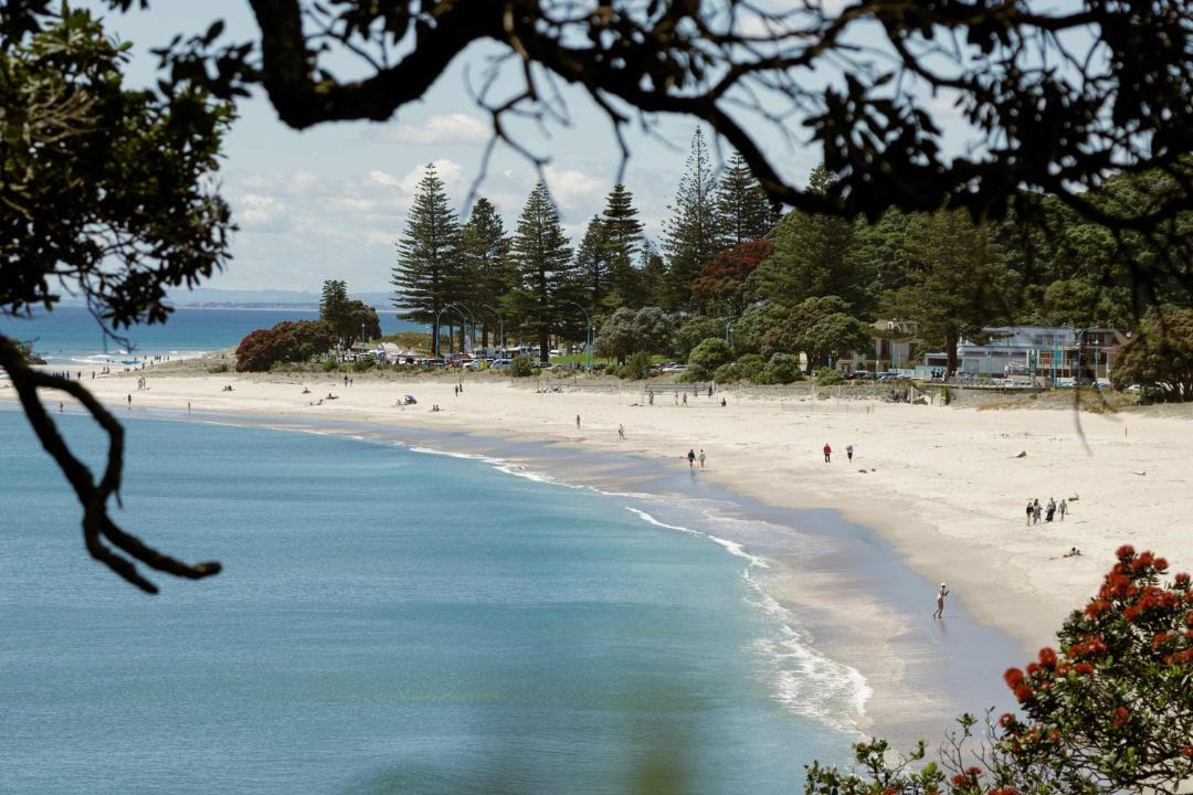Photo of Others in Mount Maunganui
