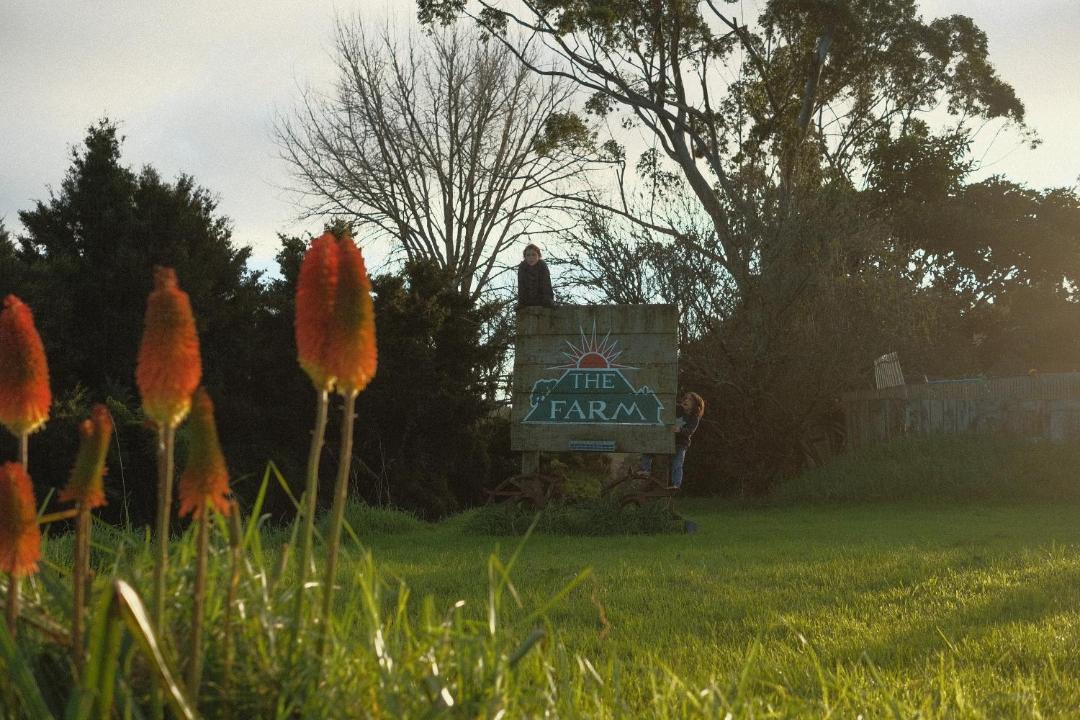 Photo of Others in Whangaruru