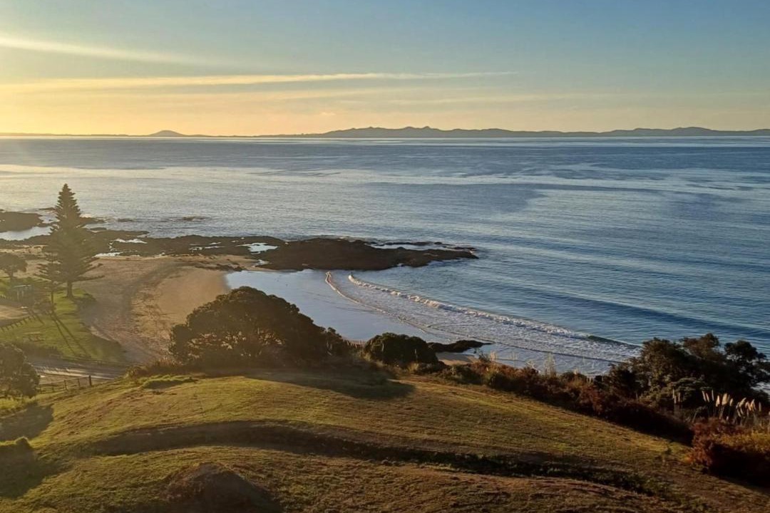 Photo of Others in Cable Bay