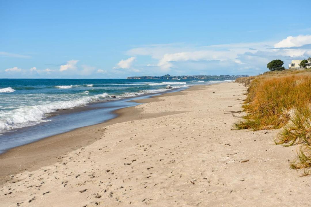 Photo of Others in Papamoa Beach