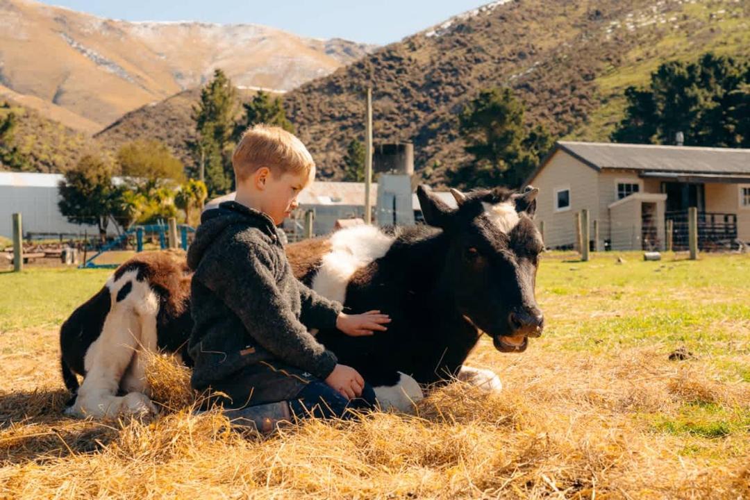 Photo of Others in Mackenzie Country