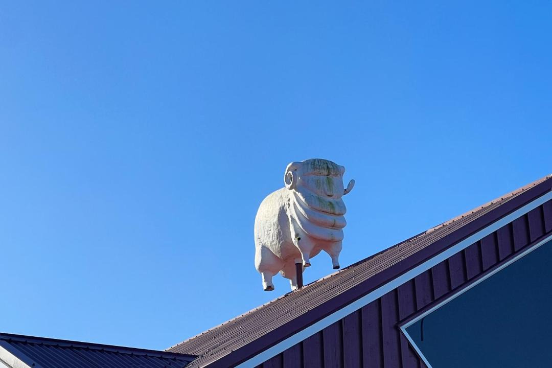 Photo of Others in Kawaha Point