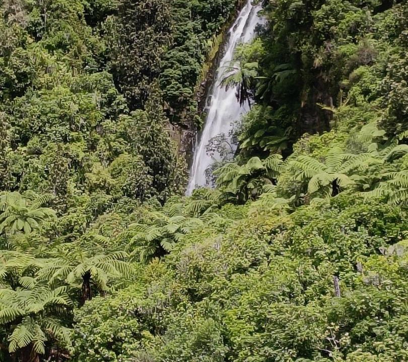 Photo of Others in Pukawa